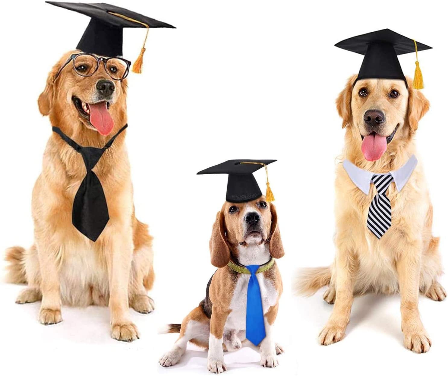 Graduation Cap Ideas Dog Lovers | Cap Graduation Pet | Dog Themed Graduation  Cap - Pet - Aliexpress